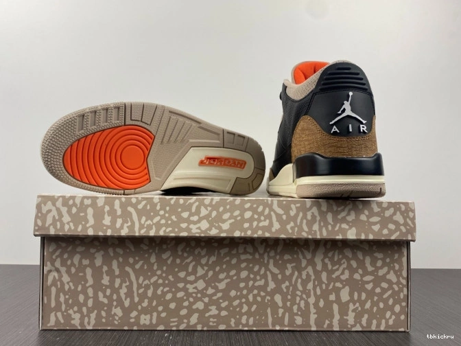 Reps TBK Elephant Desert Jordan Air CT8532-008 3 0706